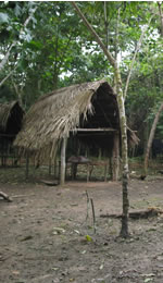 Guest House, Yakumamay